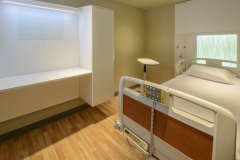 Corian Sand Storm Cabintes and Head Walls in a Healthcare Patient Room
