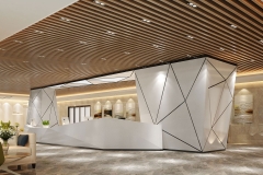 Retail Reception Area, LG HI-MACS Coconut Solid Surface